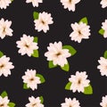 Spring cherry blossoms.ÃÂ Seamless pattern with JapaneseÃÂ sakura. Pink flowers on black background. RomanticÃÂ Vector illustration. Royalty Free Stock Photo